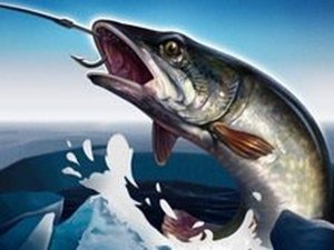 Ice Fishing 3D Online Arcade Game