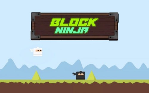 Block Ninja Swipe Arcade