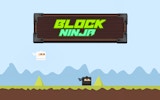 Block Ninja Swipe Arcade