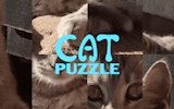 Cat Puzzle Game - Kitty Rebuild Challenge