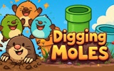 Digging Moles: Mole Puzzle Adventure
