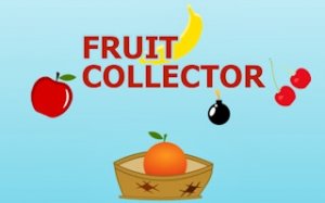 Basket Fruit Collector