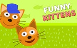 Funny Cats: Fruit Collection Games