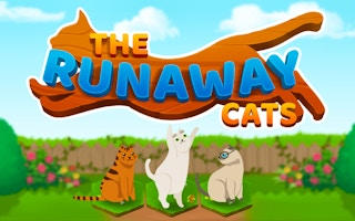 The Runaway Cats: Puzzle Maze